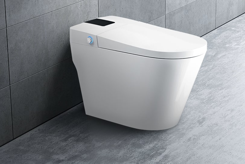 Intelligent toilet manufacturer